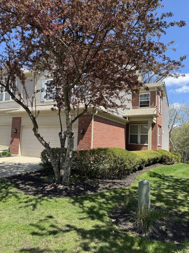 Foto del edificio - 207 Black Hill Dr