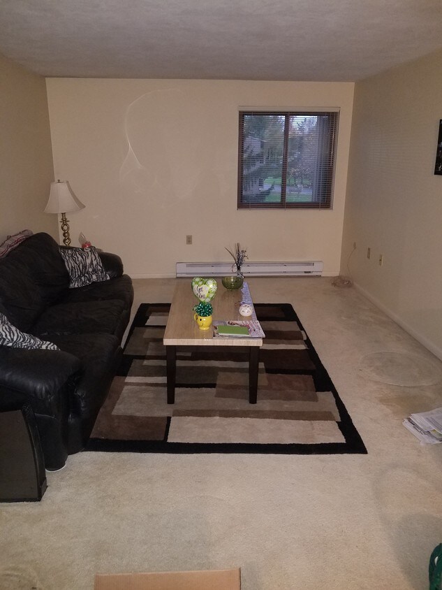 287 Watertree Dr, East Syracuse, NY 13057 Condo for Rent in East Syracuse, NY