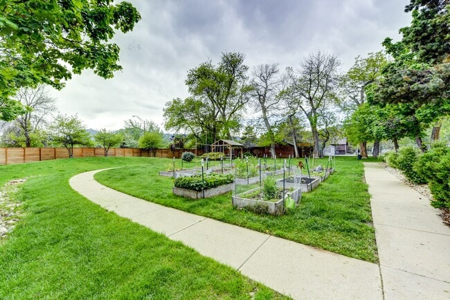 The gardens - Valencia Gardens
