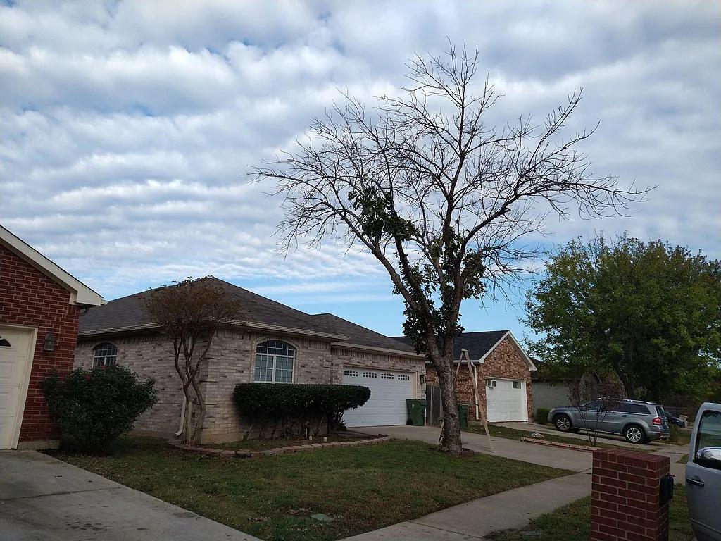 Photo - 1923 Chandler Ln