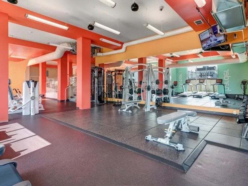 Modern gym with weight machines, treadmills, and free weights.