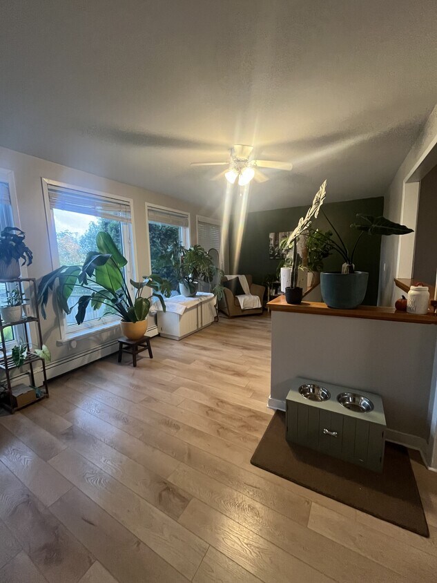 Photo principale - 21 Harris St