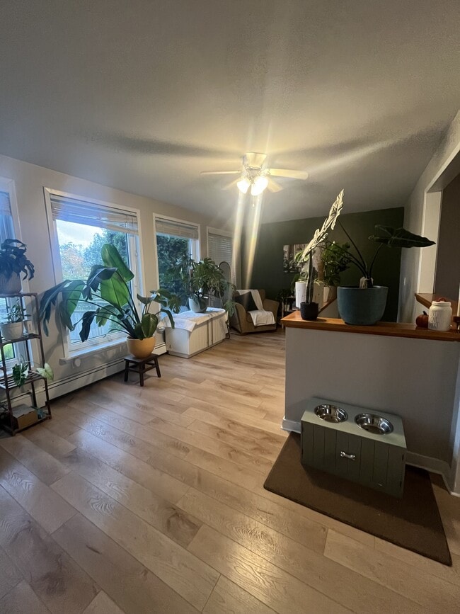 Building Photo - 21 Harris St