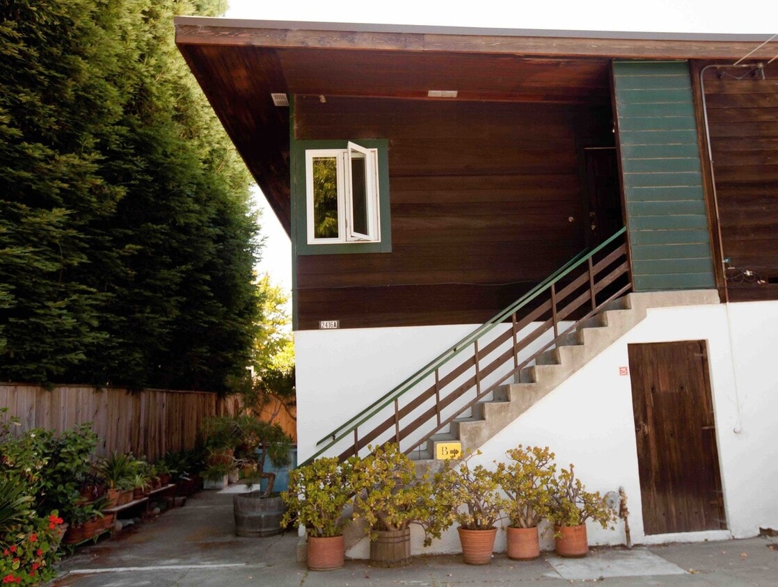 Primary Photo - M2416