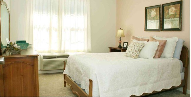 Foto del interior - Solista Charlotte