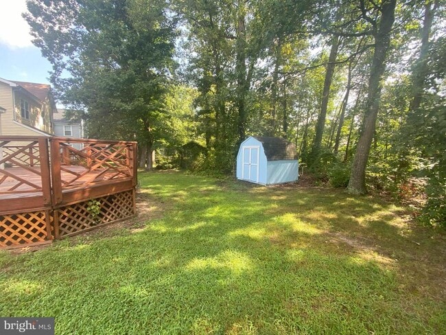 Building Photo - 5097 Bluehead Ct
