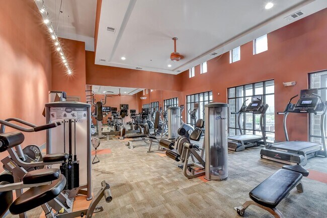 Lantower Alamo Heights Apartments San Antonio, TX