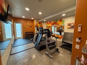 Interior Photo - Paceline