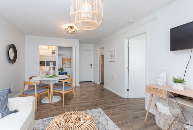 1BR, 1BA - 500SF - Living Area - Capital Flats & Magnolia Square Apartments