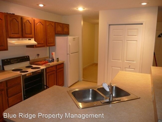Building Photo - 3 br, 2 bath House - 1013 Cox Trail