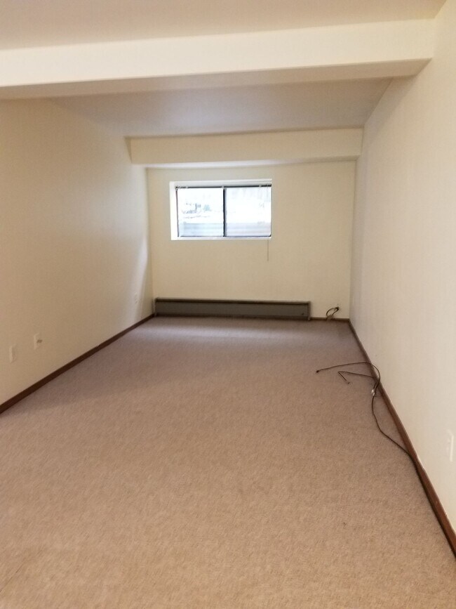 Building Photo - Newly Renovated + Sunny & Bright, 2 Bedroo...