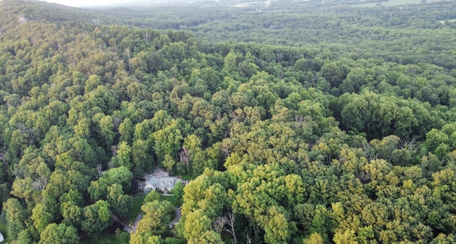 Building Photo - 3880 Point of Rocks Rd