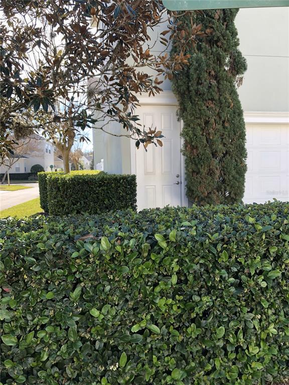 Primary Photo - 1103 Mosaic Dr