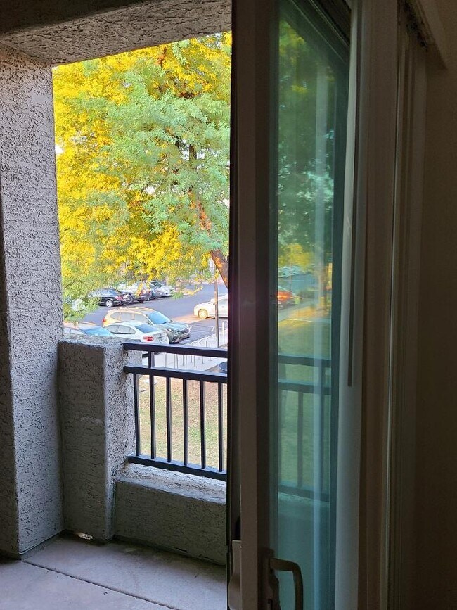Balcony overlooking green area. - 2401 E Rio Salado Pky