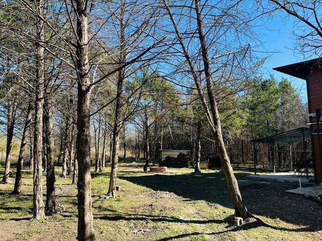 Building Photo - 1180 Mesquite Tree Rd