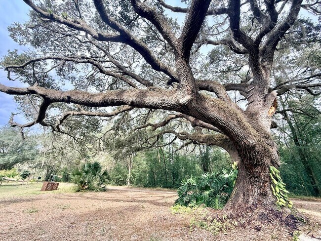 Foto del edificio - Enjoy the peace and quiet in this secluded home located on private lake!!!