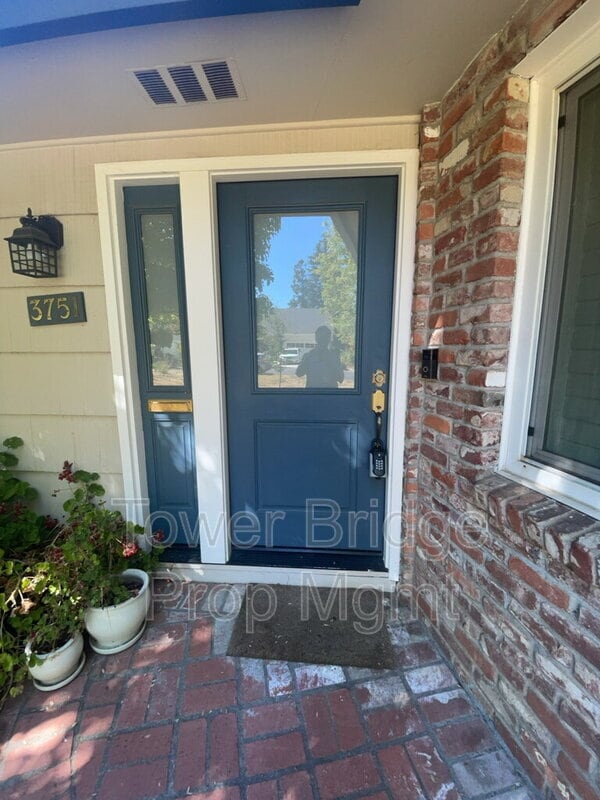 Building Photo - 3751 El Ricon Way