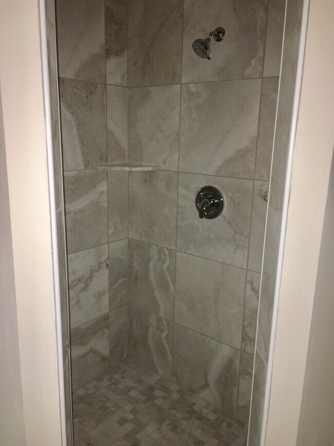 Master Shower - 810 E Gottsche Ave