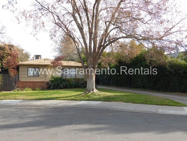 Foto del edificio - Charming East Sac 1bd/1ba Duplex with Garage