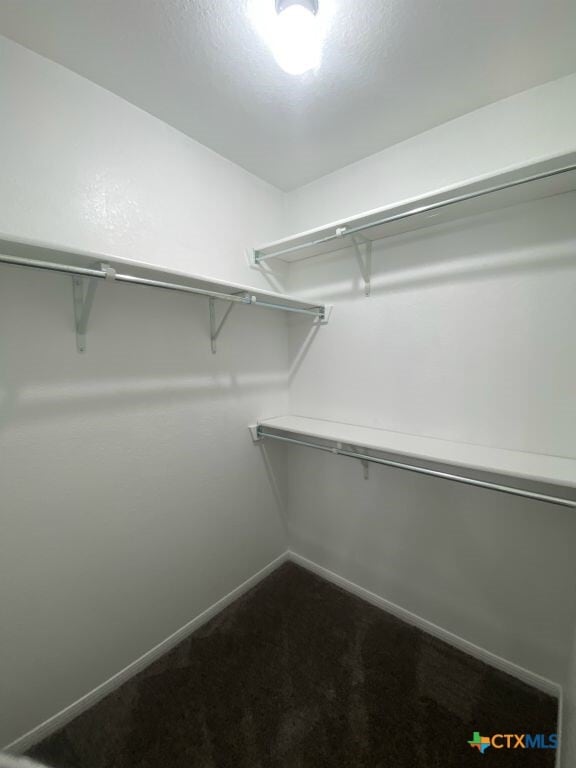 Building Photo - 4902 Slate Ct