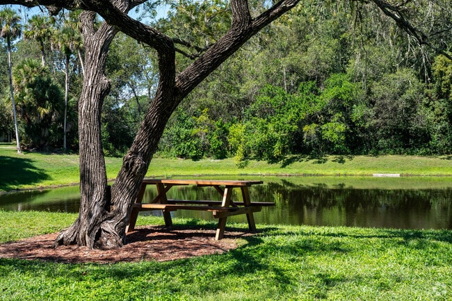 Lake-side Views - Mosswood