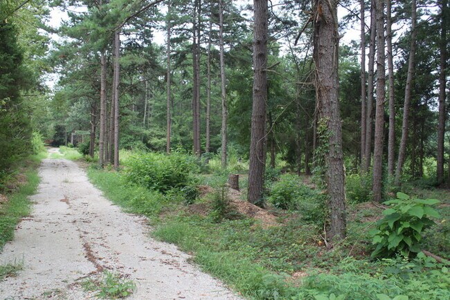 Building Photo - 345 Cannon Farm Rd, China Grove, NC 28023