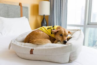 Building Photo - 516 Lea Ave