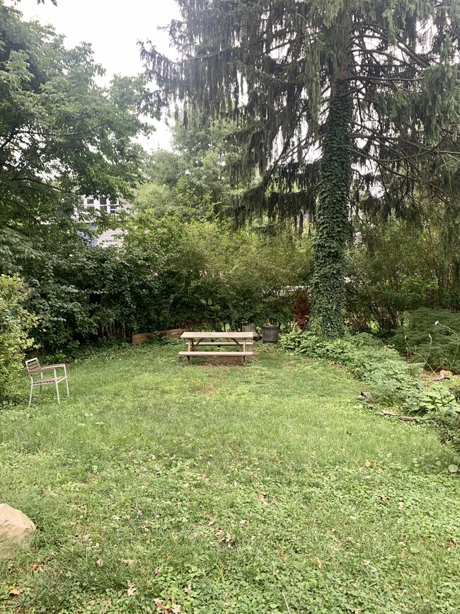 Backyard - 220 E Glenside Ave