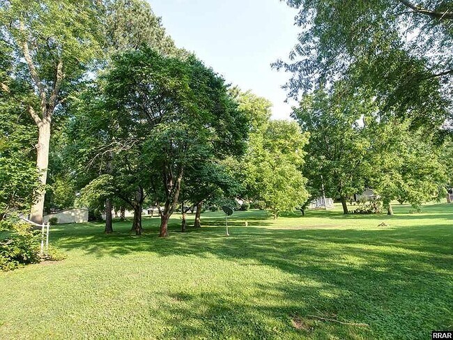 Back Yard - 311 Main St