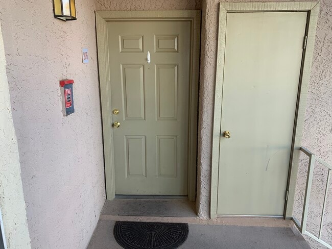 Front door - 2008 Mesquite Ln