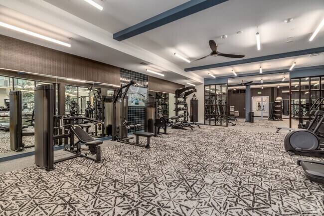 Gimnasio - The Bouldin