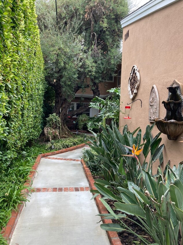 Courtyard - 10662 Wilkins Ave