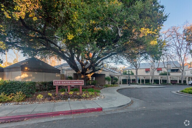 Entrada - Los Gatos Commons