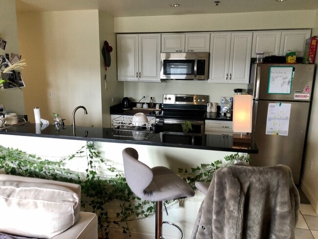 Building Photo - 533 Commonwealth Ave