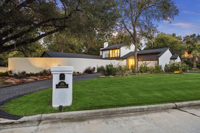 Foto del edificio - 203 Cove Creek Ln