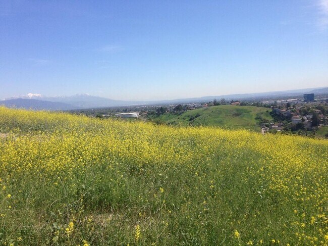 255 Mckibbin St. Oficina #14-4 - 4003 Harriman Avenue