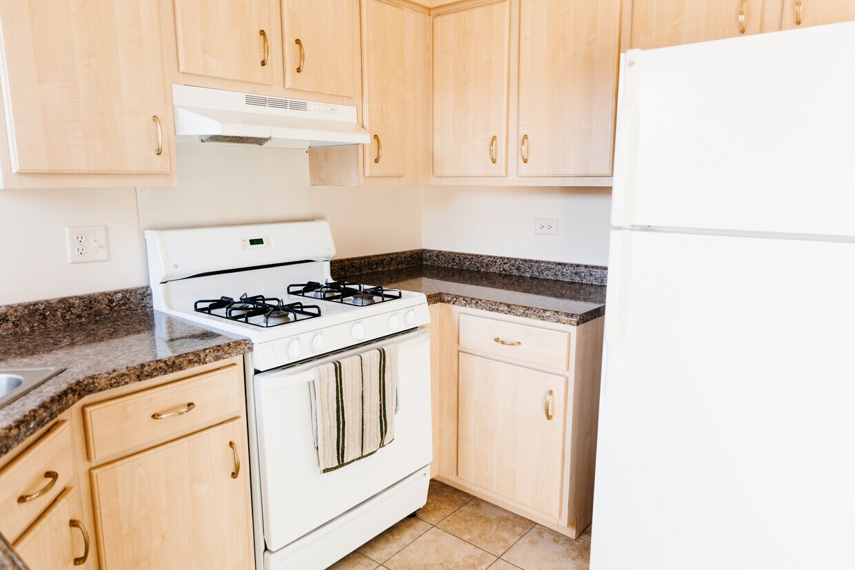 8336-oak-leaf-dr-unit-3-woodridge-il-60517-condo-for-rent-in