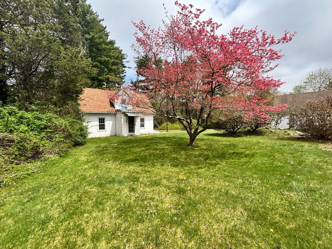 Foto principal - 354 Chapin St