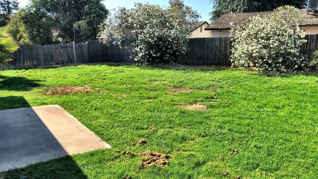 Foto del edificio - 1715 E Mary Ave