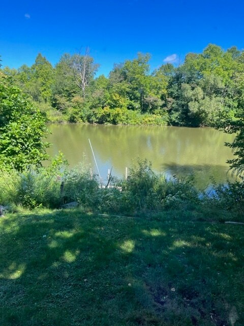 Foto del edificio - 234 River Meadow Dr