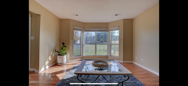Living room - 321 Vernie Lee Rd