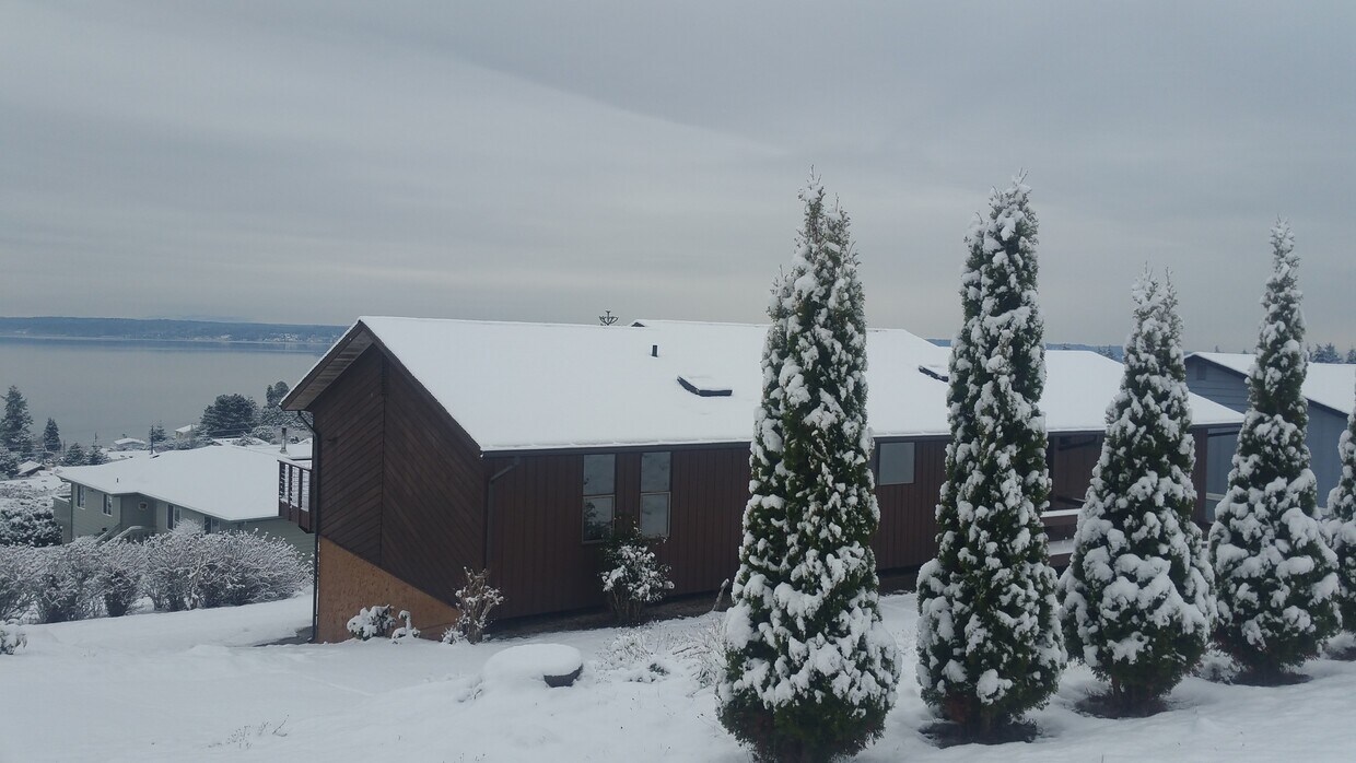 1501 Watkins Dr, Stanwood, WA 98282 House for Rent in Stanwood, WA