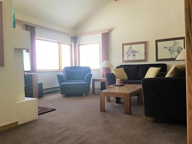 Living room - 101 Blue Grouse Ln