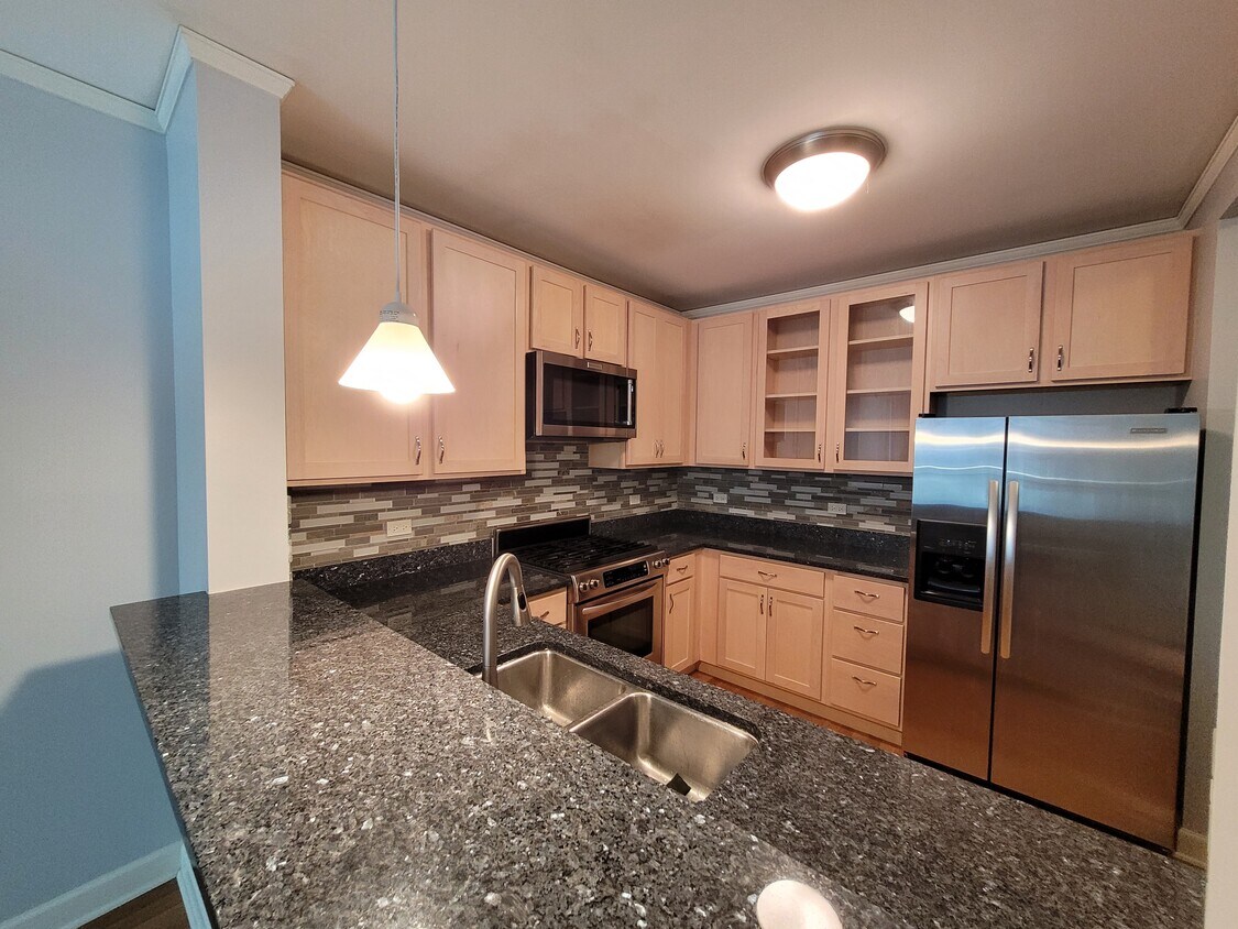 Kitchen - 450 E Waterside Dr