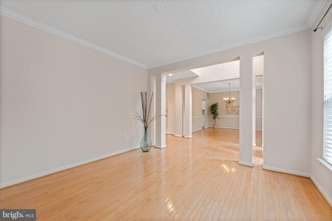 Building Photo - 905 Royal Elm Ct