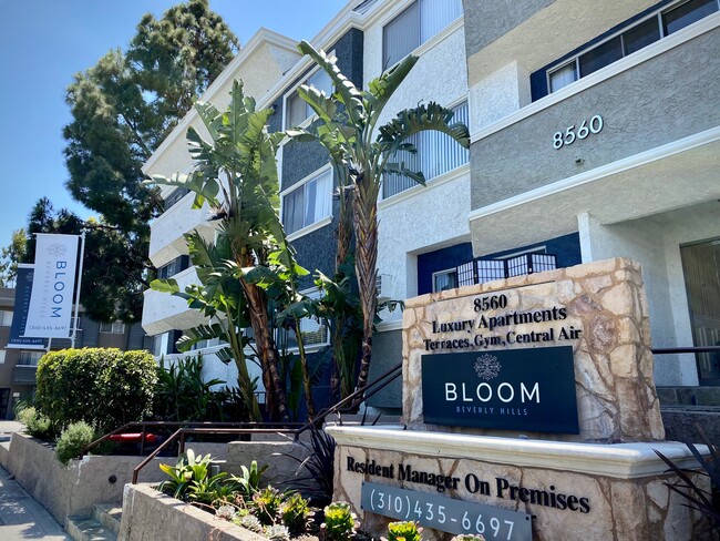 Foto del edificio - Bloom Beverly Hills