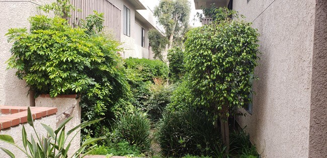 Foto del edificio - 15215 Magnolia Blvd