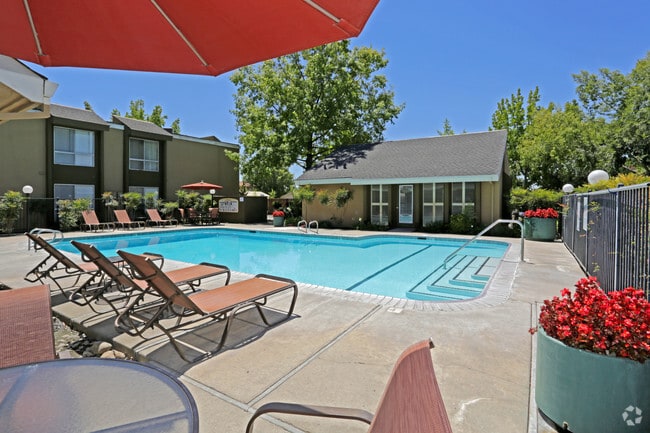 Building Photo - The Pointe On Bell