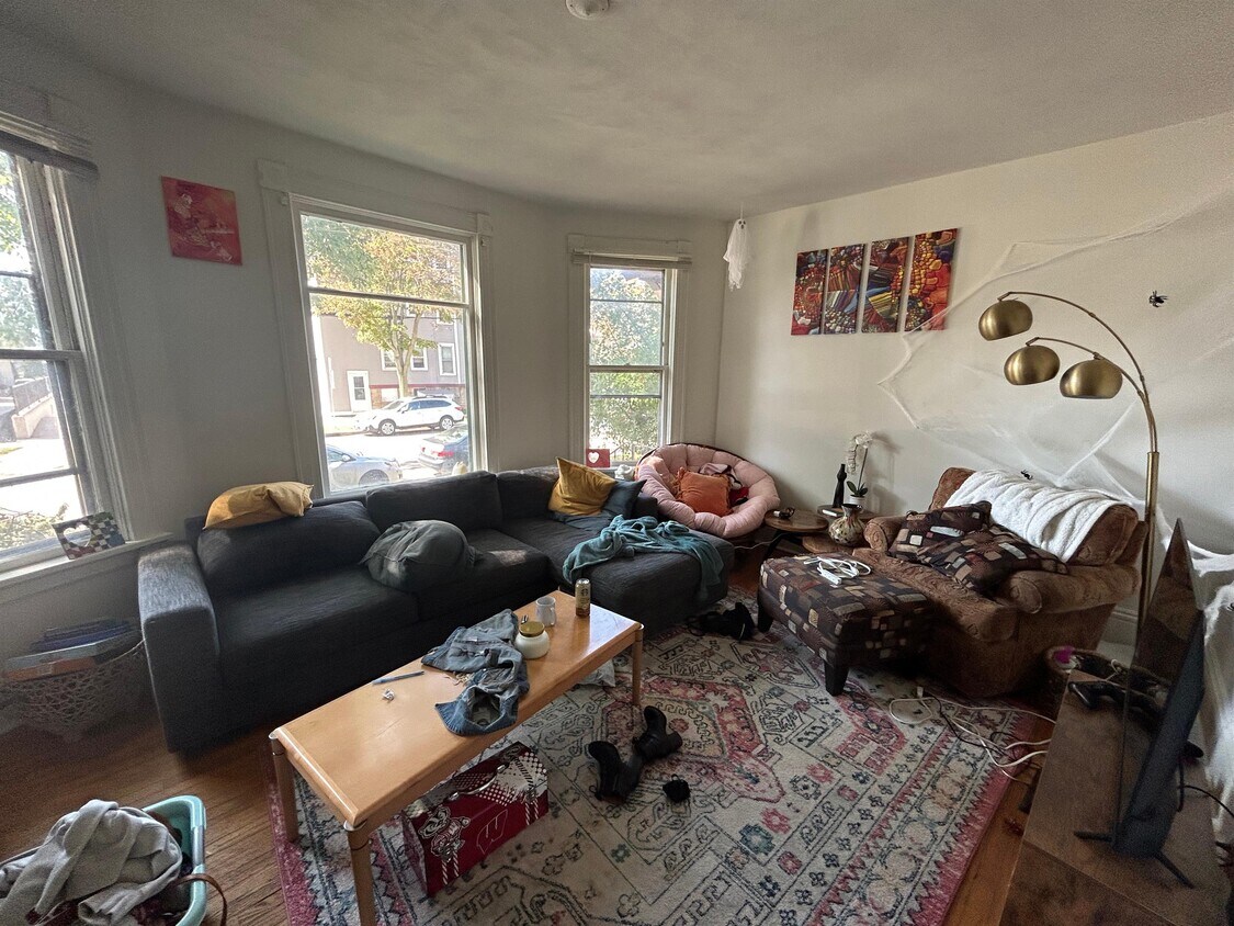 217 N Livingston St, Madison, WI 53703 Townhome Rentals in Madison WI