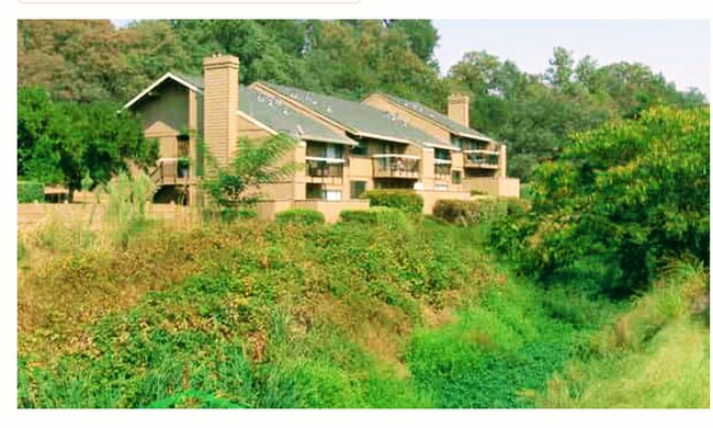 Creek side view of complex - 9200 Madison Ave